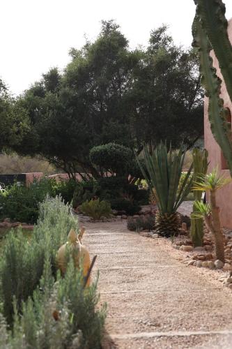 a garden with cacti and plants on a path at Paradis Nomade in Azrarag