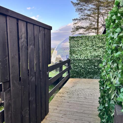 a wooden walkway with a wooden fence and a hedge at Glamping Domes in Articlave
