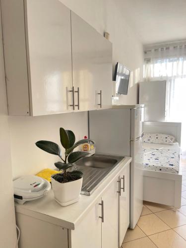 Kitchen o kitchenette sa Marras Rooms 2