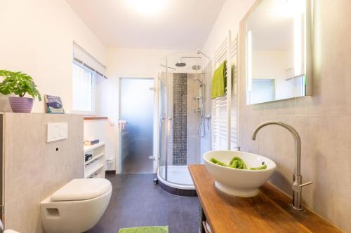 a bathroom with a sink and a toilet and a shower at Ideal für kurze Aufenthalte – gemütliches 1-Zimmer-Apartment in Adelsdorf