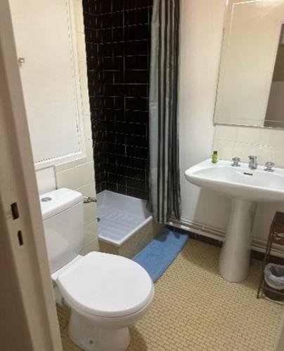 une salle de bain avec toilettes et lavabo dans l'établissement Calm and Comfortable parisian studio, à Paris