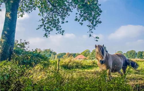 a horse standing in a field next to a tree at Lovely Home In Vlagtwedde With Kitchen in Vlagtwedde