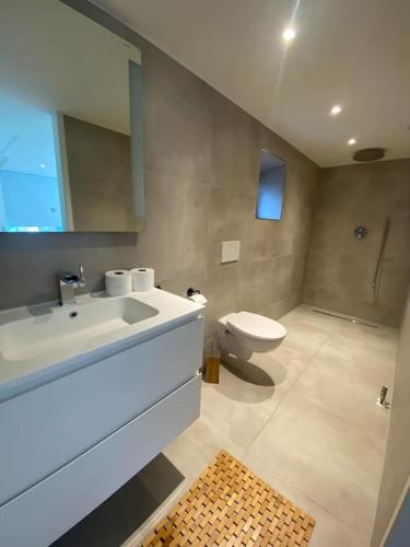 a bathroom with a sink and a toilet at Luxe groot chalet voor 6 personen op de Veluwe! in Doornspijk