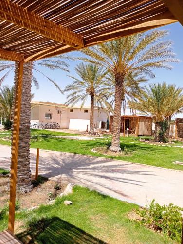 a group of palm trees in a park at Garden12 Outdoor & More in Douz