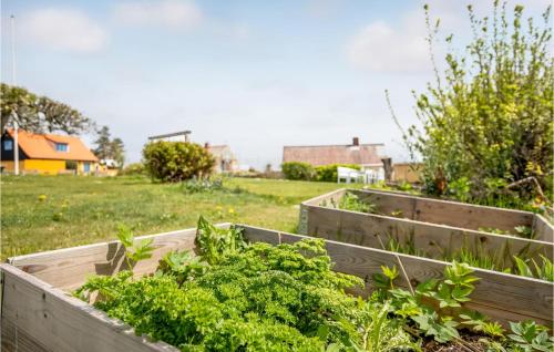 a group of raised garden beds in a field at 1 Bedroom Gorgeous Apartment In Svaneke in Svaneke