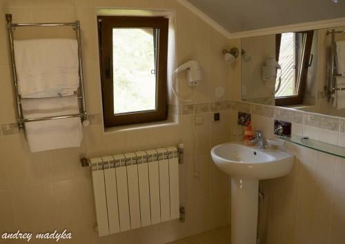 a bathroom with a sink and a mirror at Eco Sadyba Familia in Yaremche