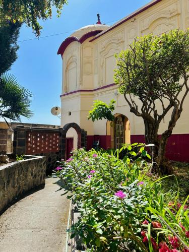 Κήπος έξω από το Ferozi House x Padm Lakshmi Palace Arki