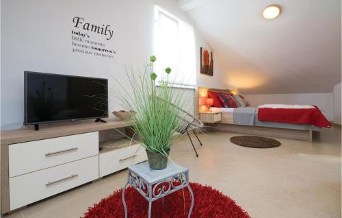 TV a/nebo společenská místnost v ubytování Amazing Home In Novigrad With Sauna