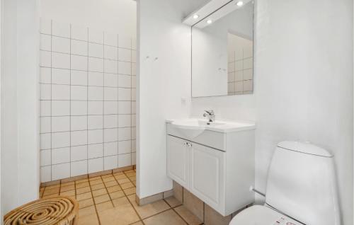 a bathroom with a toilet and a sink and a mirror at Lovely Home In Aabenraa With Sauna in Aabenraa