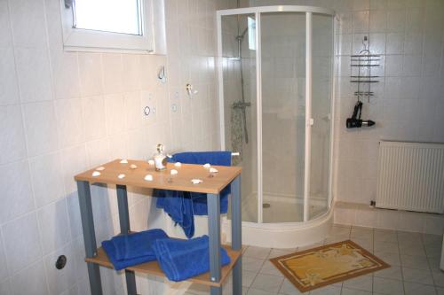 a bathroom with a sink and a shower at Ferienwohnungen Haus Mecklenburg in Elmenhorst