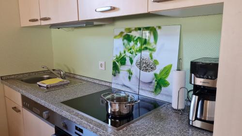 Dapur atau dapur kecil di Weingut Markus Busch