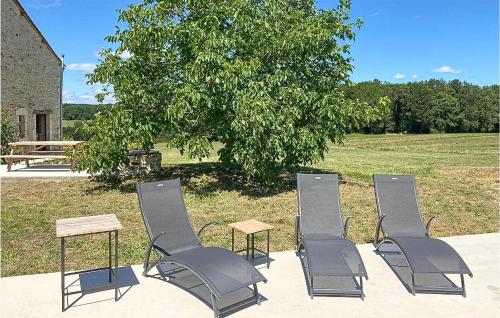 a group of chairs and a table and a tree at Awesome Home In Lussas Et Nontronneau in Lussas-et-Nontronneau