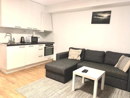 Kuchyň nebo kuchyňský kout v ubytování Demims Apartments Lorenskog centre -- Ahus & SNØ & Parking