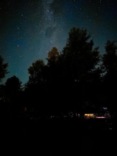 a starry night with trees and the milky way at Cabañas Ayalén con vista al Lago in Pucón