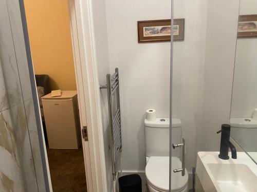 a bathroom with a toilet and a sink at The Florence Room in Norwood