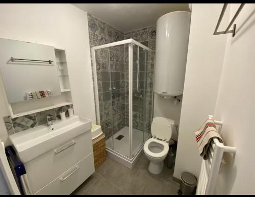 une salle de bain avec une douche, des toilettes et un lavabo dans l'établissement T2bis, petit coin de paradis face à la mer, à Saint-Jean-de-Monts