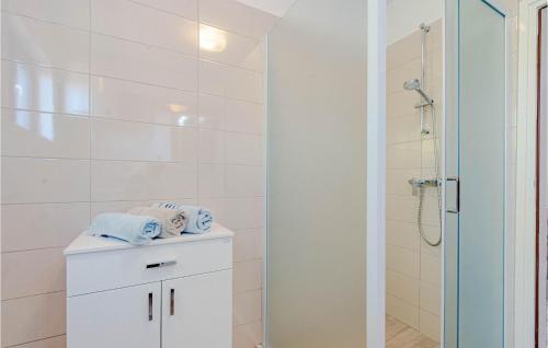 a bathroom with a shower and a white cabinet with towels at Apartment Zavalatica Iv in Zavalatica
