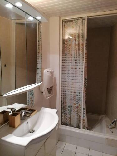 une salle de bain avec un lavabo et une douche dans l'établissement Studio Joseph, à Espaly-Saint-Marcel