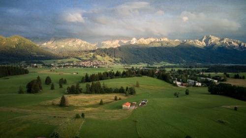a view of a green field with mountains in the background at Ferienwohnung Ilona, Armin & Simon Funke in Halblech