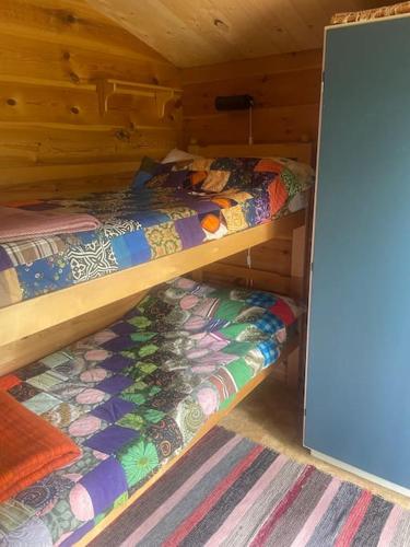 two bunk beds in a wooden cabin with a door at Stuga i Solvarbo, Dalarna in Gustafs