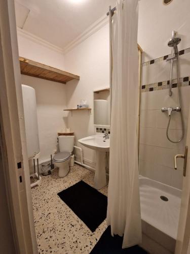 a bathroom with a toilet and a sink and a shower at Spa et lit baldaquin in Saint-Pargoire