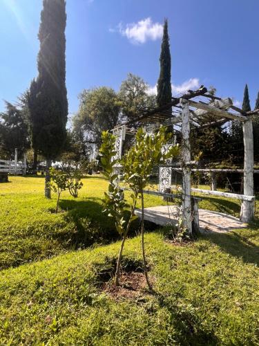 Cabañas Cumbres de Aguacatitlaにある庭