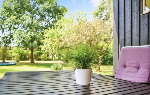 a potted plant sitting on a table on a patio at Three-Bedroom Holiday Home In Dronningmolle in Dronningmølle