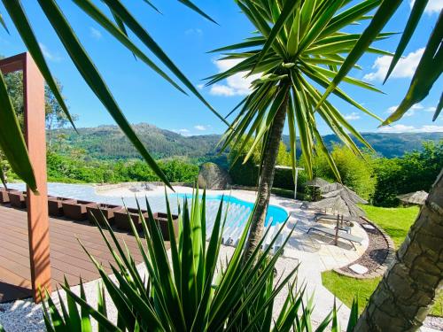 a villa with a pool and a palm tree at Quinta Cercas da Costa in Vieira do Minho