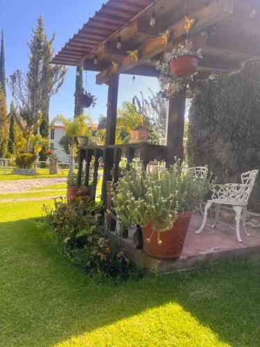 Cabañas Cumbres de Aguacatitlaにある庭