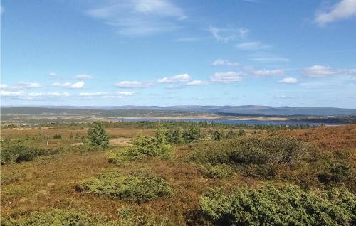 an aerial view of a field with trees and a lake at Fjellstua C3, Leil 202 in Sjusjøen