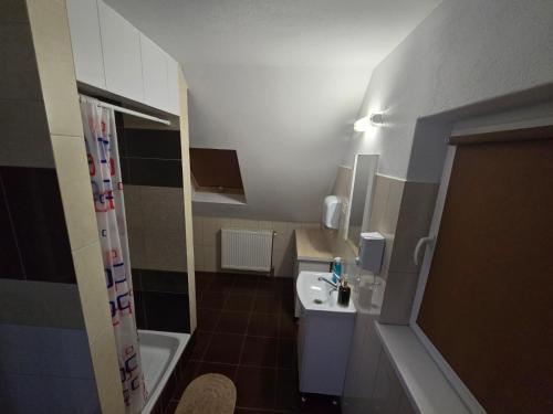 a small bathroom with a sink and a shower at Antal Guesthouse in Ghimeş-Făget
