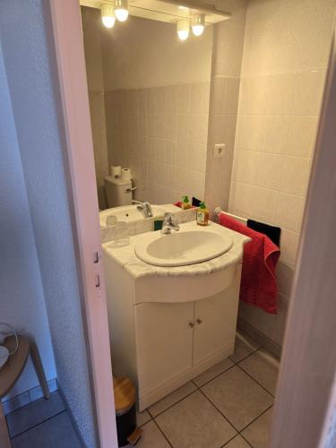 une salle de bain avec un lavabo et un miroir dans l'établissement Chambre indépendante, à Les Avenières