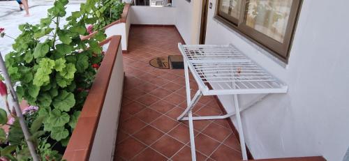 a walkway with a white bench next to some plants at Casa vacanze Grimaldi Paestum in Paestum