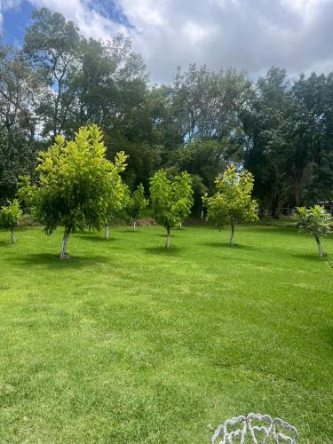 Cabañas Cumbres de Aguacatitlaにある庭