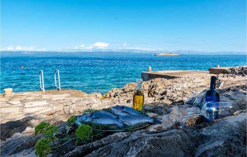 a bottle of wine sitting on a rock near the water at Beautiful Home In Prigradica in Prigradica