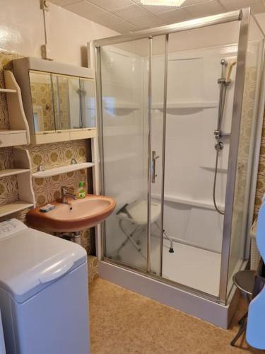 une salle de bain avec douche et lavabo dans l'établissement La Petite Maison Pa'Meuse, à Monthermé