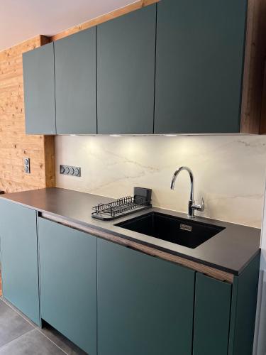 une cuisine avec des armoires bleues et un évier dans l'établissement Très joli T2, à Villard-de-Lans
