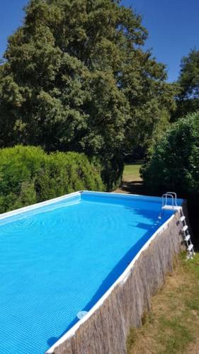 une grande piscine bleue à côté de quelques arbres dans l'établissement Grande maison avec parc arboré et piscine privée - 6 chambres, à Marolles-les-Buis
