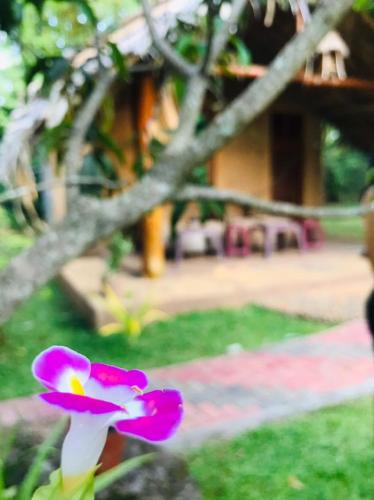 Jardín al aire libre en Hasthi Safari Cottage