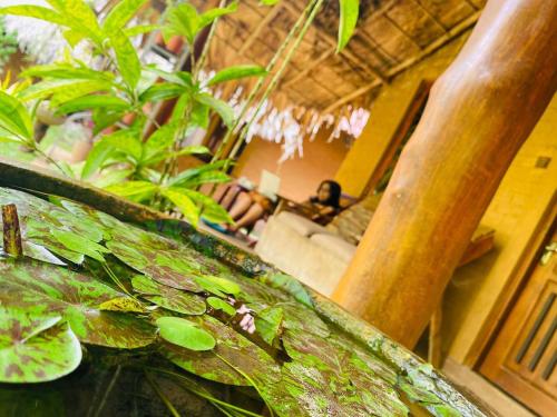 Jardín al aire libre en Hasthi Safari Cottage