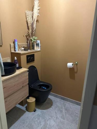 La salle de bains est pourvue de toilettes noires et d'un lavabo. dans l'établissement coup de coeur rooftop vertou proche Nantes, à Vertou