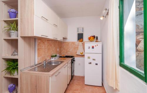 a small kitchen with a sink and a refrigerator at Holiday Home Gdinj With Sea View I in Gdinj
