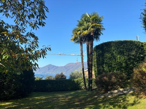two palm trees in a yard with mountains in the background at Il Lago a Luino in Luino