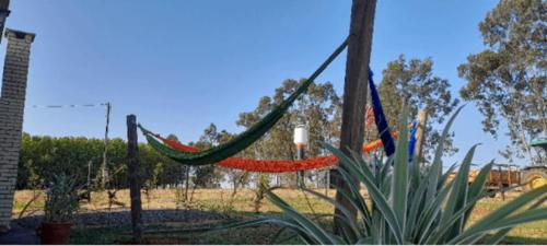 Κήπος έξω από το Rancho Cata Vento