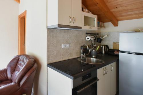 Kuchyň nebo kuchyňský kout v ubytování Stone house Morinj