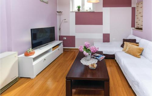 Televízia a/alebo spoločenská miestnosť v ubytovaní 3 Bedroom Beautiful Home In Jadranovo
