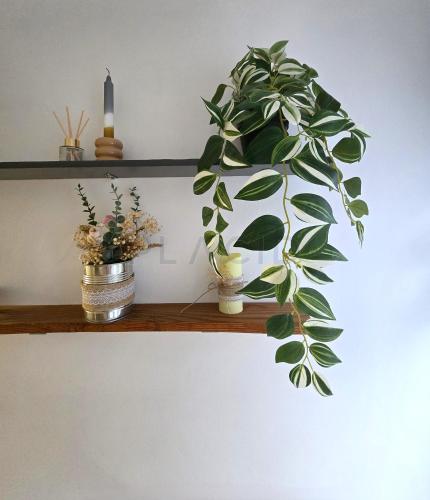 Photo de la galerie de l'établissement Les trois bouddhas, au Mans