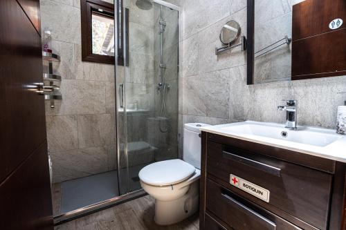 a bathroom with a shower and a toilet and a sink at Casa Rural con skatepark y piscina " La Quijada del Lobo " in Llerena