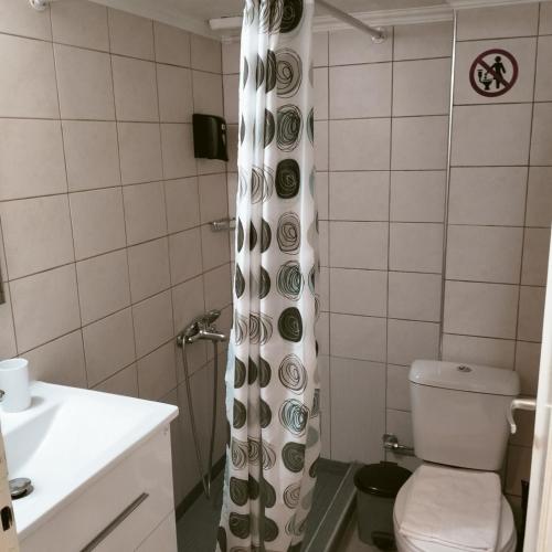 a bathroom with a toilet and a shower curtain at Comfort Mitropoleos Apartment in Thessaloniki