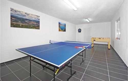 Stolný tenis v ubytovaní Beautiful Home In Grubine alebo v jeho okolí